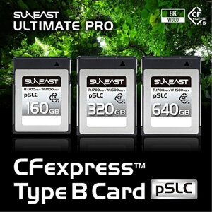 TC[Xg CFexpress TypeB Card pSLCV[Y160GB SE-CFXB160S1700 pSLC 160GB ϋv  ] i M y PCIe Gen3x2 Apple ProRes 422HQ C^[tF[X RoHS ۏ؊5N