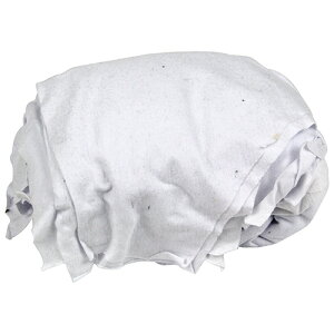 c p[EGX TCY No.145zCg500g 4991026145003 100% z @ \tg VX g₷ s` ΂̂ 