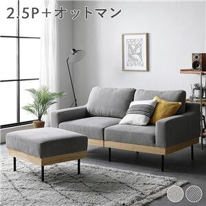 \t@ Zbg k 2.5l| Ibg}t R[fC O[W l It Jo[O VR 2.5P gi ds-2549201 \t@Zbg Ibg} |PbgRC gh