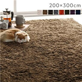 ラグマット 絨毯 約200×300cm 約4畳 ベージュ 長方形 洗える 滑り止め付 軽量 ホットカーペット可 通年使用可 シャギーラグ ds-2557278