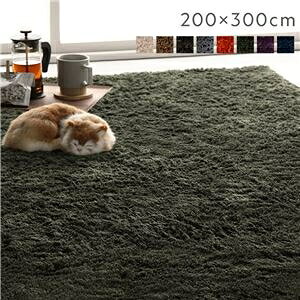 ラグ マット 絨毯 約200×300cm 約4畳 グリーン 長方形 洗える 滑り止め付 軽量 ホットカーペット可 通年使用可 折りたたみ可 ds-2557280 お部屋に馴染む 心地よい触感 毎日の清潔 シンプルデザイ