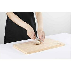 L ֑Z 炠 yeB 120mm AB5480 ds-2567364 yeBiCt nt ϑw XeX| ؂ꖡ {ʂdl eiX Ep