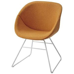 FRENZ EW`FA RDP3-RW OR IW [vrWH ds-2568874 [vr K X^CbV ĝɃtBbg LxȃJ[oG[V  zCgr [J[ [hE^ 