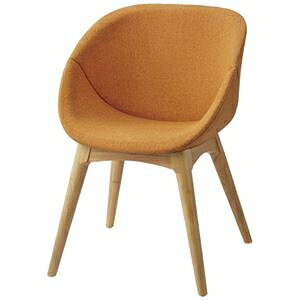 FRENZ EW`FA RDP3-WN OR IW ؐr ds-2568886 fUC K ĝɃtBbg w  bNX CeA K IV CeAR[fBl[g X`[b