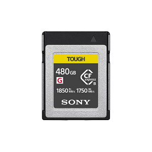 \j[ CFexpress Type B [J[h(480GB) CEB-G480T [J[h 480GB  ABe 4K TOUGH ϋv ő呬x ƌ x Ȃx ϏՌ M dl y
