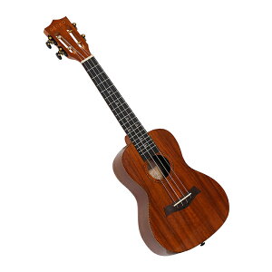 z[eCXg S҂łn߂₷ EN 13_Zbg 23C`(RT[g) (RAuE) SH-06-UC23-K-BR S 23C` `[i[ sbN R[h\ Aquila NX^KX TEh E