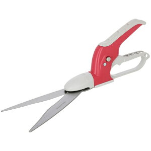 XeX360°]Ŋ V 4907052761094 |p͂ ͂ 背[L ͂  ͂ݓ{ }؂͂ XRbv L ͂ݓ{lC i^ nXN