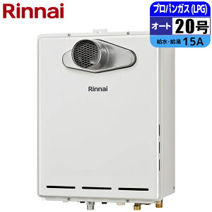 �����i�C �K�X�ӂ닋���� 20�� �I�[�g PS�����ݒu�^(�r�C�����s��) RUF-A2005SAT(C) PS�����ݒu�^ �r�C�����s��