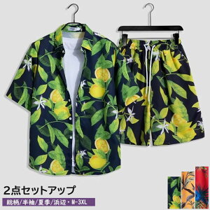 2_ZbgAbv j r[`Vc 3COLORS   i Y ㉺Zbg YVc AnVc /ܕVc JWAVc n[tpc V[gpc r[`V[