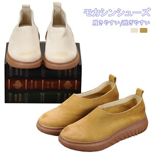 {v JV fB[XV[Y v JVV[Y v [Jbg EhgD  _炩 RtH[g Ȃ [t@[ nCLO r tbgV[Y JWAV