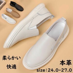 {v [t@[ Y _炩 Xb| Ȃ v rWlXV[Y tbgV[Y ₷ hCrOV[Y l {vJWAV[Y j  {vC v 