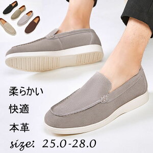 [t@[ {v Y _炩 Xb| v rWlXV[Y tbgV[Y ₷ hCrOV[Y l {vJWAV[Y j lC C {vC v ʋ am