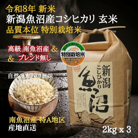 本日最大ポイント11倍！ 高級 魚沼産コシヒカリ 新米 令和7年 特別栽培米 【玄米】 6kg 【2kg X 3袋】特A地区 産地直送 南魚沼産コシヒカリ 美味しい米 新潟 こしひかり ご当地 グルメ 新潟 特産 贈答品 粗品 米 挨拶品 ギフト 贈答用 P5