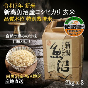 Ε YRVqJ V ߘa7N ʍ͔| N yāz 6kg y2kg X 3܁zAn Yn 싛RVqJ  V Ђ n O V Y i ei 