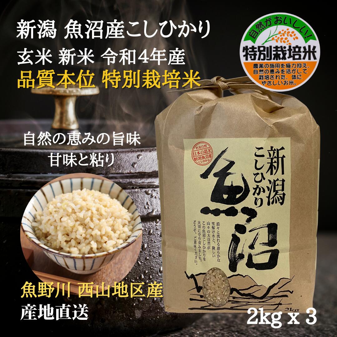 sachi様専用　新米農薬無し純こしひかり30㎏ 玄米