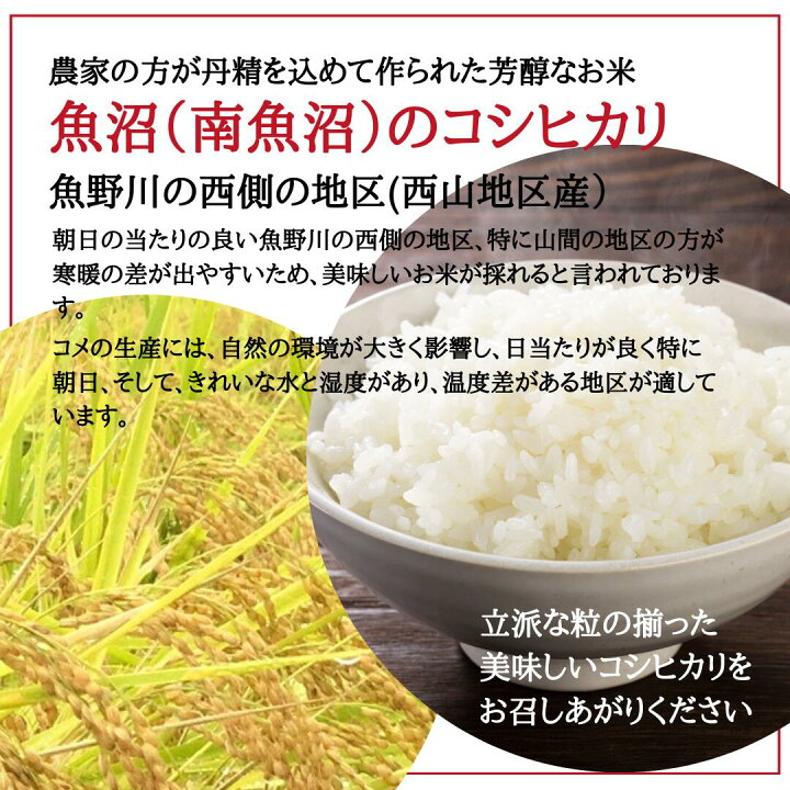 楽天市場】本日最大！ポイント11倍！ 高級 魚沼産コシヒカリ 新米 5kg 
