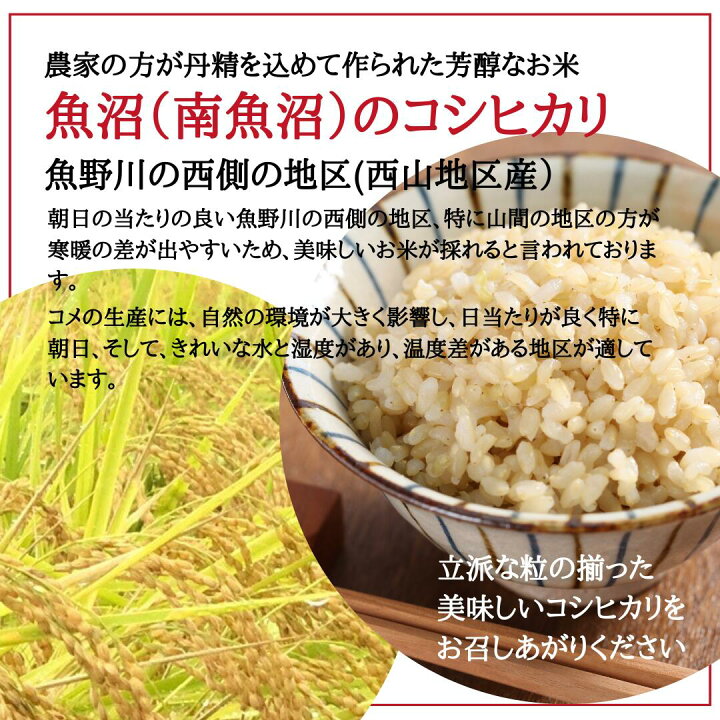 楽天市場】高級 魚沼産コシヒカリ 新米 令和7年 特別栽培米 【玄米 