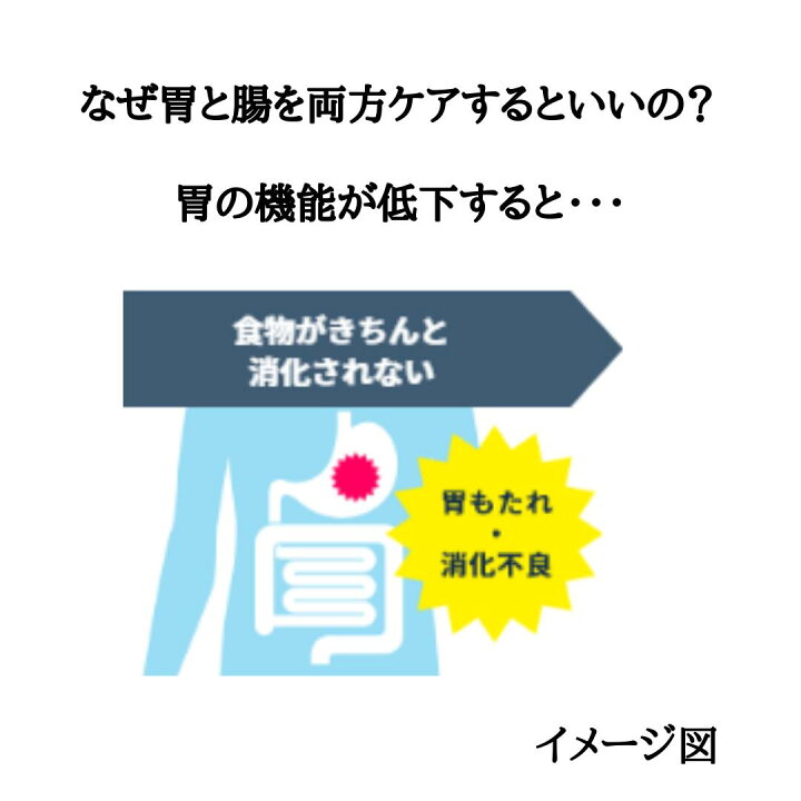 楽天市場 第一三共胃腸薬 プラス細粒 48包 X 3個 もたれ 食べ過ぎ 飲み過ぎ 胸つかえ 食欲不振 胸やけ 胃痛 胃酸過多 胃重 胃部不快感 げっぷ 消化不良胃弱 胃部 腹部膨満感 はきけ むかつき 二日酔 悪心 嘔吐 整腸 便通 軟便 便秘 胃腸薬 第２類医薬品 P7 新潟の