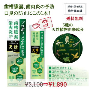 {20`10OffI p݂͂  gD[XveNgv VI v|X VRAR ^R\h \h Lh~ 80g 򕔊Oi  P2 TOP-1 X[p[SALE