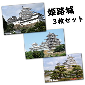 |XgJ[h yPHz EY IWi|XgJ[h 3Zbg 3 270~ ӏ W bZ[WJ[h AE