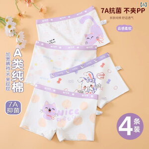 qp LbY p V[c ̎q 100% lp pc ct ۈ牀 w w R A S 킢 K[Y Ci[