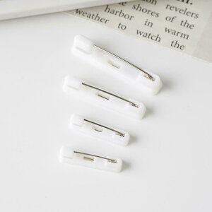 �u���[�` ���F ���F �v���X�`�b�N ���S�s�� ���K�i �H���v ���� �A�N�Z�T���[