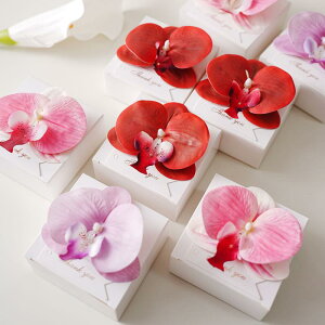 Mtg{bNX  َq  o^tC LOJ[ht  10 50 GW F  Ԓ F ~g  {p~z  