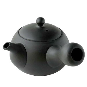 風景ドットコム 常滑焼 小急須 陶製茶こし セラメッシュ 180cc 日本製