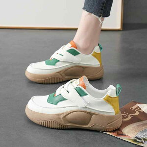 Xj[J[ fB[X DwC wlC q[  ^C h vbgtH[ ~ EhgD }WbNe[v ig JWA   t