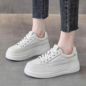 Xj[J[ fB[XV[Y  [Jbg tbg\[ _炩 {v v y ؂񂱌C wlC JWA ₷ ig s ʋ t H~  x[W