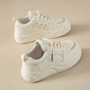 Xj[J[ fB[X tG  V[Y tbg\[ Dw w ^C ~ _炩 C ₷ ig y ubN AC{[