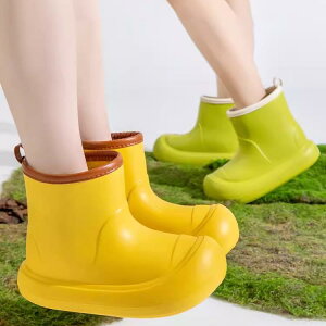 JC LbY q  h ~ ̎q j̎q eq sN CG[ J[L EVA ct w