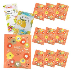 ސE v`Mtg bɂȂ܂  10܃Zbg z  Mtg  ii Mt[