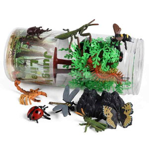   ~j`A f XpC_[ ĂƂ g{ ob^ Jf  ߋ ?