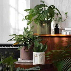 ԕr Aؔ v^[ A ~͔ A Zg RN[g    Ȃ  킢 ؍ k CeA  x_    | K[fjO