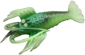 ^Rނp^a }V tFCN ɐGr  LTCY