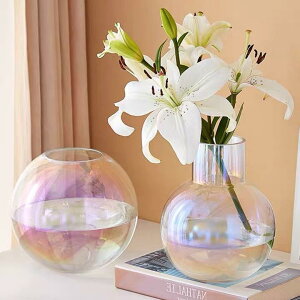 ԕr KX Ԋ CeA k ؍ _ 􉽊w͗l t[x[X hCt[ 蕨 rO Q  _CjO IuWF