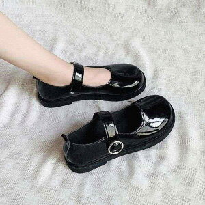 C [t@[ fB[X wC  q[ ۓ wlC 킢 ؍ ubNn