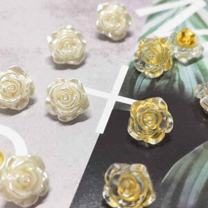 {^ AN [Y Ԍ` D r Vc ٖD DIY  p[  ubN