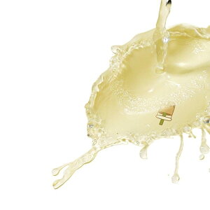 J fB[X oCN CR[g |`  h hJ XN[^[ lp ~gO[ N[CG[ ItzCg x[W O[ 킢 F