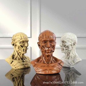 ̑ppi l ؓ i   W G Ql  U ͌^ p nhCh