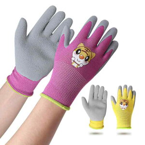  qp K[fjO | Ǝ ̏W @ A TCNO [[XP[g ϖ ~ h tďH~