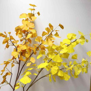   3Dvg ʐ^Be Be CeA ze ԏ IW CG[ O[