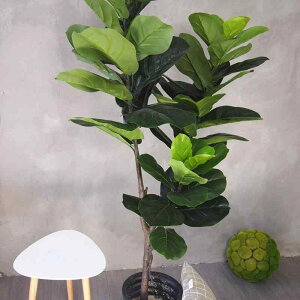 ~ 160cm S̖ JVoSmL CeA ϗtA tFCNO[ rO Q ItBX Bep