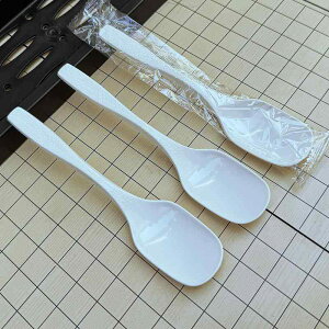 Xv[ vX`bN ĝ eCNAEg fU[g X[v   ؍  ubN zCg NA  100{