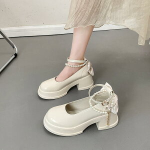 [t@[ fB[X EhgD  Ȃ ₷ ɂȂ tbgV[Y ؍ t@bV JWA 킢 ʊw ʋ s  