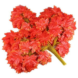  gt tFCNO[ VNt[ lHϗtA Ji_ Cn~W ~W   gt F F 둕 K[fjO