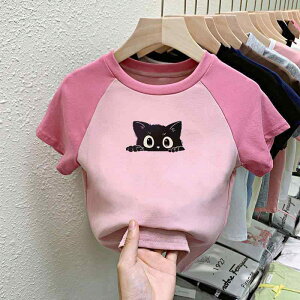 TVc K[Y  xr[ gbvX q 킢 L Jbg\[ 100 ig sNn ubNn t