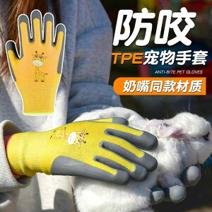  qp w | y ی ϖ ybg nX^[ J ݂h~ TPE 킢 QL Q QL IW u[ CG[ AEghA