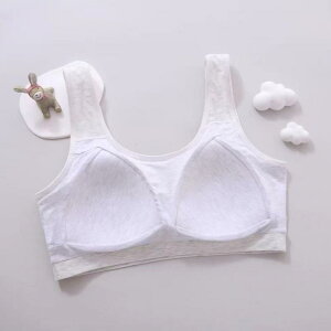 q uW[ WjA iK  K ʋC wS N  ̎q   XpfbNX \ ^pbh mC[ ŒV_[ n Vv GrF   O